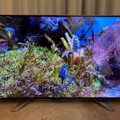 AQUOS 40型 2016年モデル 4Kテレビ