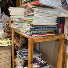 【値下】月刊ヨット雑誌「舵」2006年から2009年位分一括（一部に抜け月あり）の画像