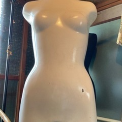トルソー　ボディ　の画像