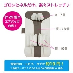★最終値下げ★さらにお値下げしました！【美品】楽天レビュー高評価！ゴロンネルプラス(マッサージ器)の画像