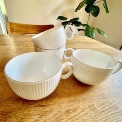 カップ