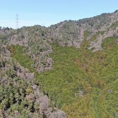 【成約済】山林物件　和歌山県紀の川市