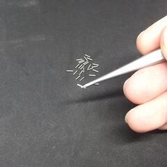 【工場見学だけでも！】未経験者歓迎・正社員・転勤なし・精密機器の...