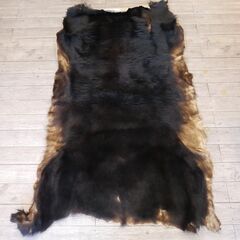 【ヤ取終了8/22】≪ZW405ジ≫ 長期保管品 熊/くま/クマ...