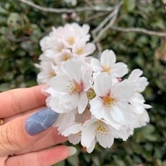 お友達募集♡