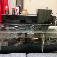 1200×600×450 アクリル水槽