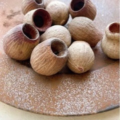 ベルガムナッツwojの画像