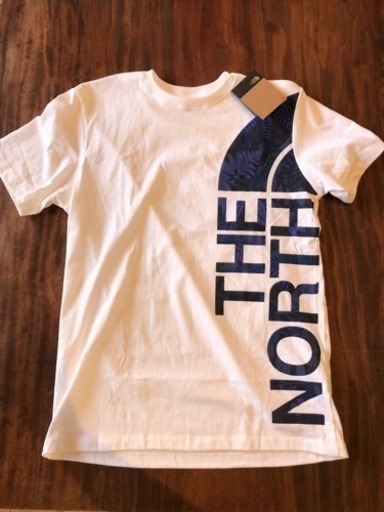 the north face ノースフェイス tシャツ 海外限定M