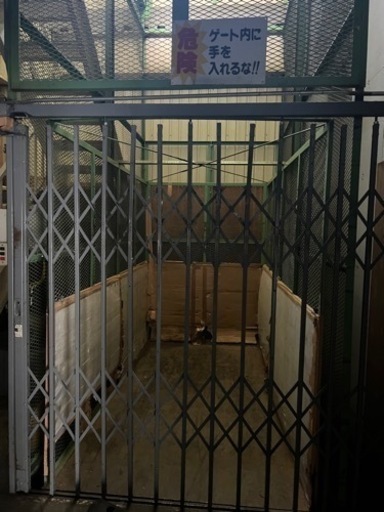 貨物用エレベーター