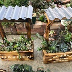 多肉植物プランター　ハンドメイド※木製の画像