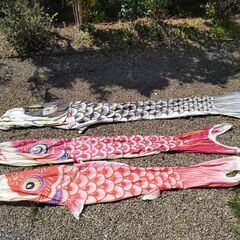 鯉のぼり(屋外用)