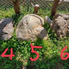 庭石６つ、取りに来てくださる方に差し上げます。