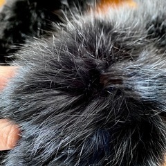 【無料】リアルファー マフラー 首巻きの画像