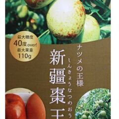 【棗酒にも！早い者勝ち！！】大豊作 棗(なつめ)の王様 新疆棗王