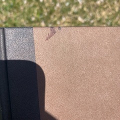 奇奇怪怪明解事典の画像