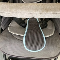 ピジョン　ランフィ　リノンの画像