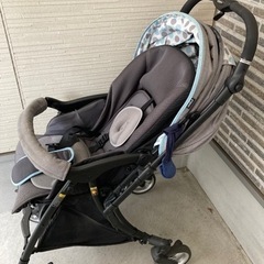 ピジョン　ランフィ　リノンの画像