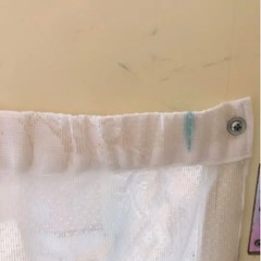 シンデレラ　棚の画像