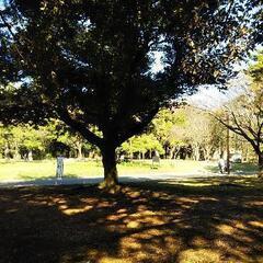 代々木公園アジアンフェスティバル2022
