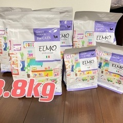 成猫用ELMO 8.8kgセット インドアエルモ イタリア猫キャ...