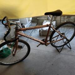 古いTREK