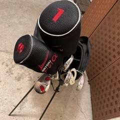 【売約済み】World eagle ワールドイーグル F-01α f-01a フレックスR シャフト　メンズセット　ドライバー　3w U5 6、7、8、9 アイアン　セット　ピッチング　サンド　チッパー　パター　11本　キャリー　ゴルフバッグ　スタンド　初心者セット　ゴルフセット　メンズ　入門編　の画像