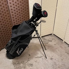 【売約済み】World eagle ワールドイーグル F-01α f-01a フレックスR シャフト　メンズセット　ドライバー　3w U5 6、7、8、9 アイアン　セット　ピッチング　サンド　チッパー　パター　11本　キャリー　ゴルフバッグ　スタンド　初心者セット　ゴルフセット　メンズ　入門編　の画像