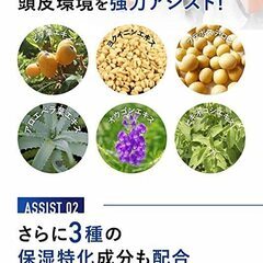 【新品・未使用】育毛剤 WIZ SCALP 01の画像