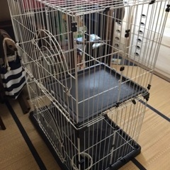 値下げ！ベット付きペット2段ゲージの画像