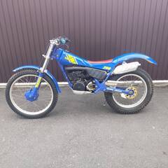 YAMAHA TY250R(3BB)
