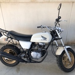 ホンダ エイプ 50(学割あり)