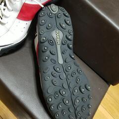 ゴルフシューズの画像