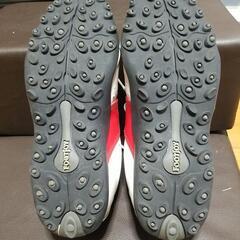 ゴルフシューズの画像