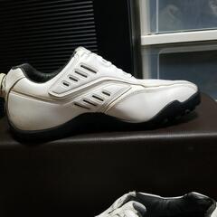 ゴルフシューズFOOTjoyの画像