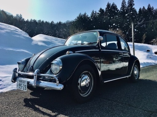 空冷ビートル（タイプ1） (ビートル) 倉敷のフォルクスワーゲン