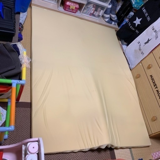 トゥルースリーパー