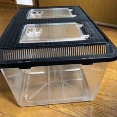 飼育ケースの画像