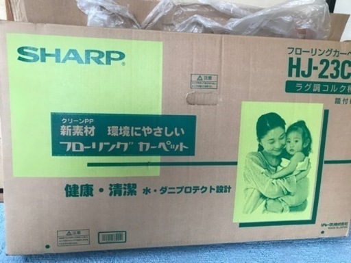 (取引中)ホットカーペット