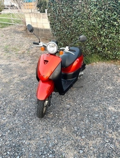 239. 動画あり　ホンダ　AF67トゥデイ　原付　バイク　50cc   車体