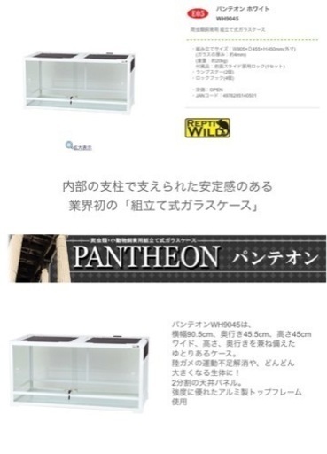 パンテオン WH9045 ホワイト