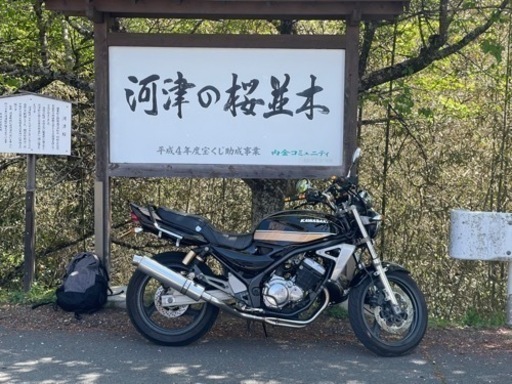 GSX250FX(バリオス2)とスティード400 4気筒ネイキッドと交換希望です！