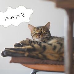 限りある命、何をする？／哲学に関心ある人向けのオンライン(ZOO...