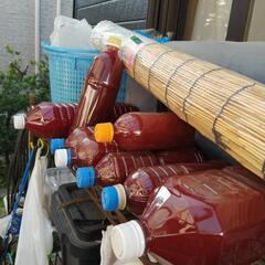 PSB(500ml)、ゾウリムシ(500ml)の画像