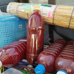 PSB(500ml)、ゾウリムシ(500ml)