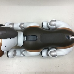 【店頭販売のみ】⭐︎レア⭐︎　SONY  aibo アイボ　ERS−1000 2019年限定カラー　チョコエディション　チョコレート・トライカラー　¥140,800(税込)の画像