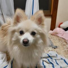 人が大好きです