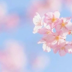 【無料】カウンセリング - 松江市