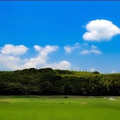 【無料】カウンセリング