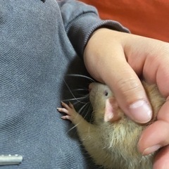 一時停止