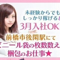 ビニール袋の枚数数え＆梱包/週払いOK/未経験OK/社会保険完備...